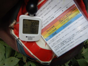 DSCN9074.JPG