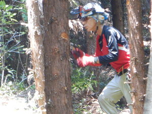 DSCN9116.JPG