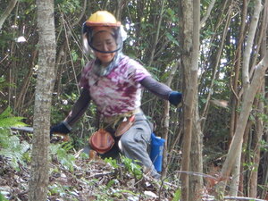 DSCN9146.JPG