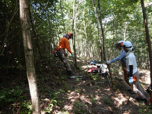 DSCN9178.JPG