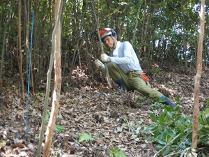 DSCN9190.JPG