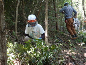 DSCN9217.JPG
