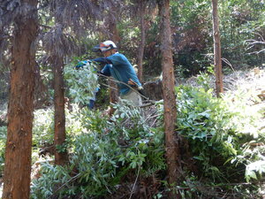 DSCN9225.JPG