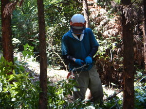 DSCN9230.JPG