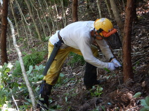 DSCN9239.JPG