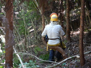 DSCN9243.JPG