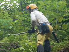 DSCN9269.JPG