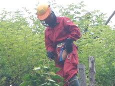 DSCN9273.JPG