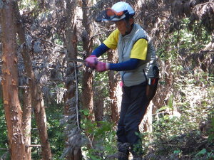 DSCN9286.JPG