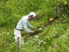 DSCN9295.JPG