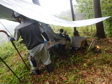 DSCN9296.JPG