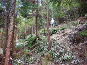 DSCN9309.JPG
