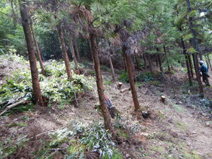 DSCN9311.JPG