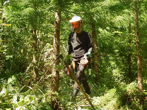 DSCN9500.JPG