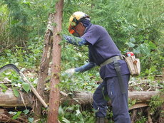 DSCN9656.JPG