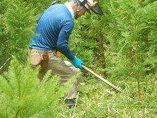 DSCN9675.JPG