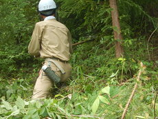DSCN9716.JPG