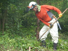 DSCN9718.JPG