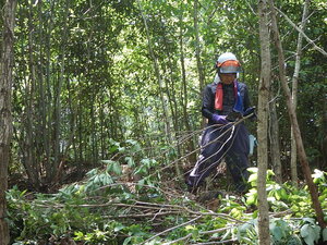 DSCN9910.JPG