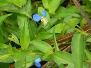 DSCN9992.JPG