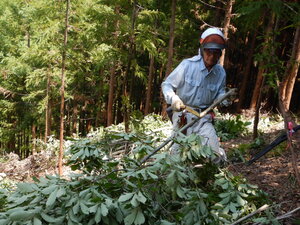DSCN9261.JPG
