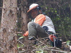 DSCN9004.JPG