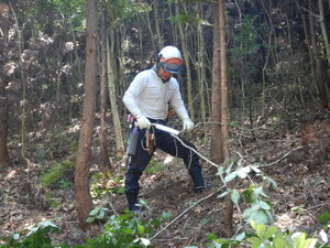 DSCN9263.JPG