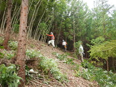 DSCN0583.JPG