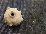 DSCN1360.JPG