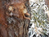 DSCN9869.JPG