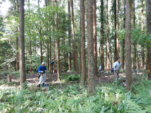 DSCN0888.JPG
