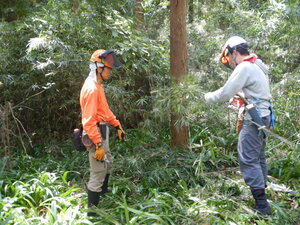 DSCN0176.JPG