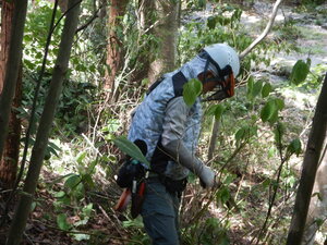 DSCN0181.JPG