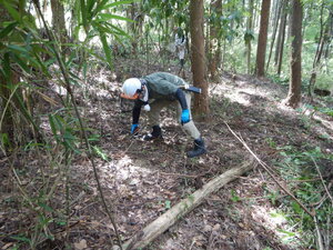 DSCN0194.JPG