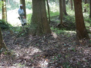 DSCN0202.JPG