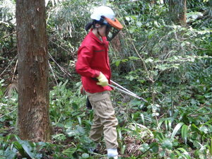 DSCN0218.JPG