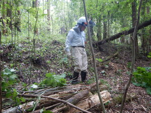 DSCN0223.JPG