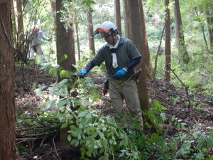 DSCN0228.JPG