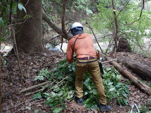 DSCN0308.JPG