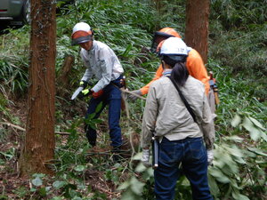 DSCN0314.JPG