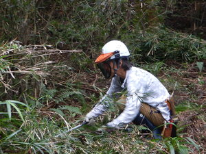 DSCN0325.JPG