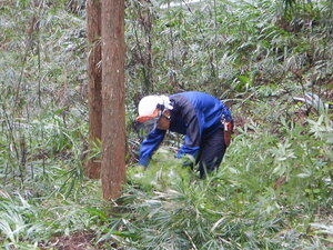 DSCN0328.JPG