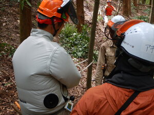 DSCN0338.JPG