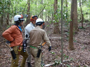DSCN0339.JPG