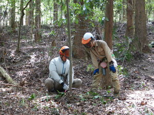 DSCN0347.JPG