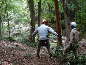 DSCN0365.JPG