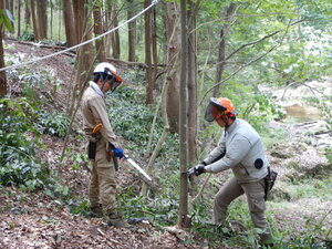 DSCN0370.JPG