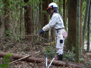DSCN0374.JPG