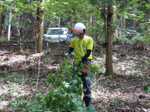 DSCN0380.JPG