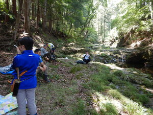 DSCN0456.JPG